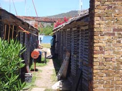Antigua 042