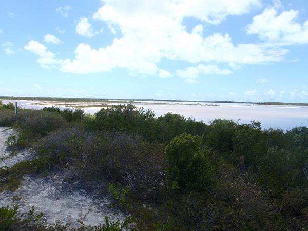 2010-04-02-Marie 086