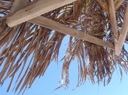 2010-04-02-Marie 113