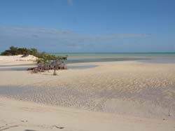 2010-04-02-Marie 160