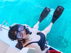 BVI 015