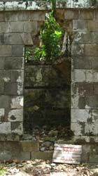 IMG_5870