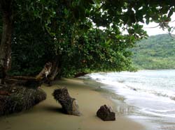Tobago-Anse bateau-kings bay 016