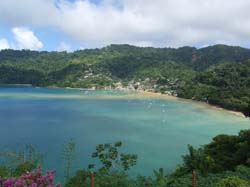 Tobago-Charlotteville 018
