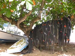 Tobago-Charlotteville 037