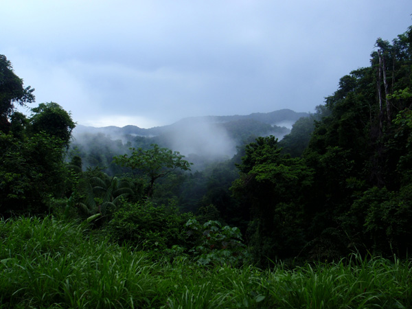 Trinidad 047