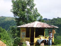 Trinidad 019