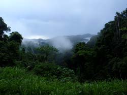 Trinidad 047