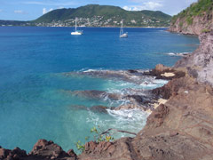 petit nevis