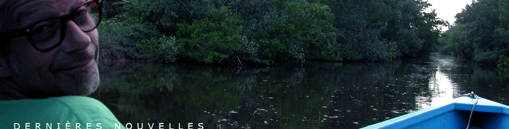 bandeau-caroni swamp
