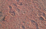 babuba-025