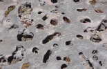 barbuda2-034