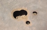 barbuda2-037