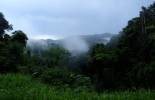 Trinidad 047