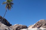 bvi-146