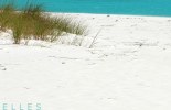 bandeau-10-05-11