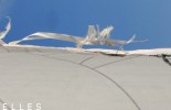 bandeau-10-06-20