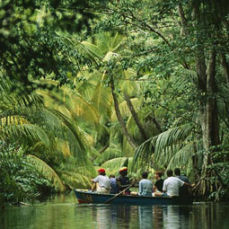 dominica