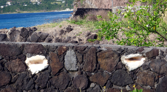 Petit-Nevis 060