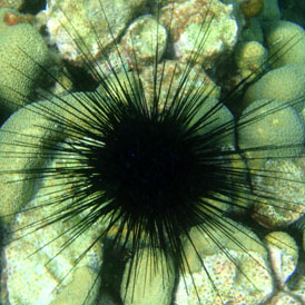 P4050033
