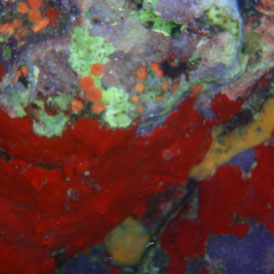 P4050036