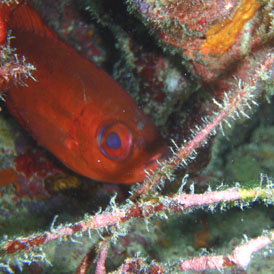 P4050049