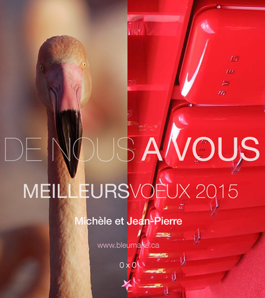 2015-cartefinale