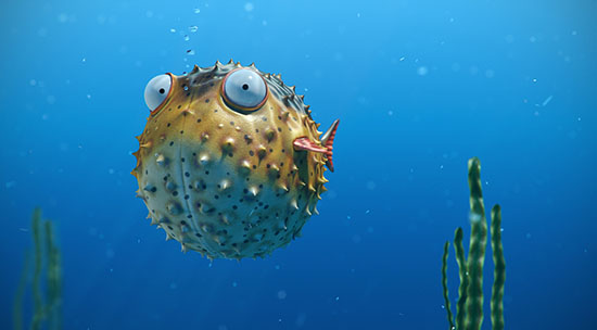 render-puffer-fish-art-bubbles-funny-hd-wallpaper