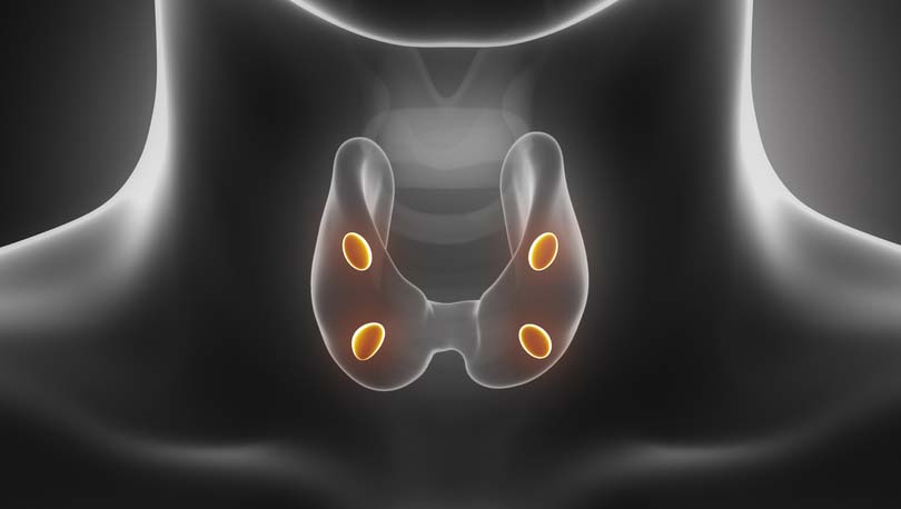 shutterstock_110058437-hypothyroïdie1