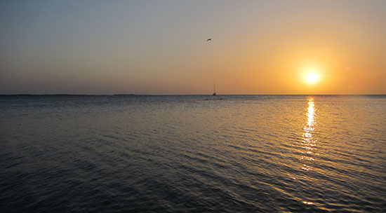 IMG_1066
