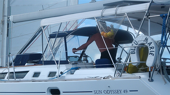 7-bimini dodger