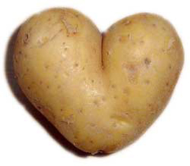 Patate-coeur