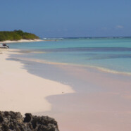 Corail et sable rose à volonté