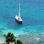 De retour aux Tobago Cays