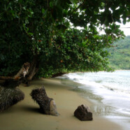 La plage qu’il nous faut