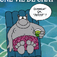 Le chat sort du sac